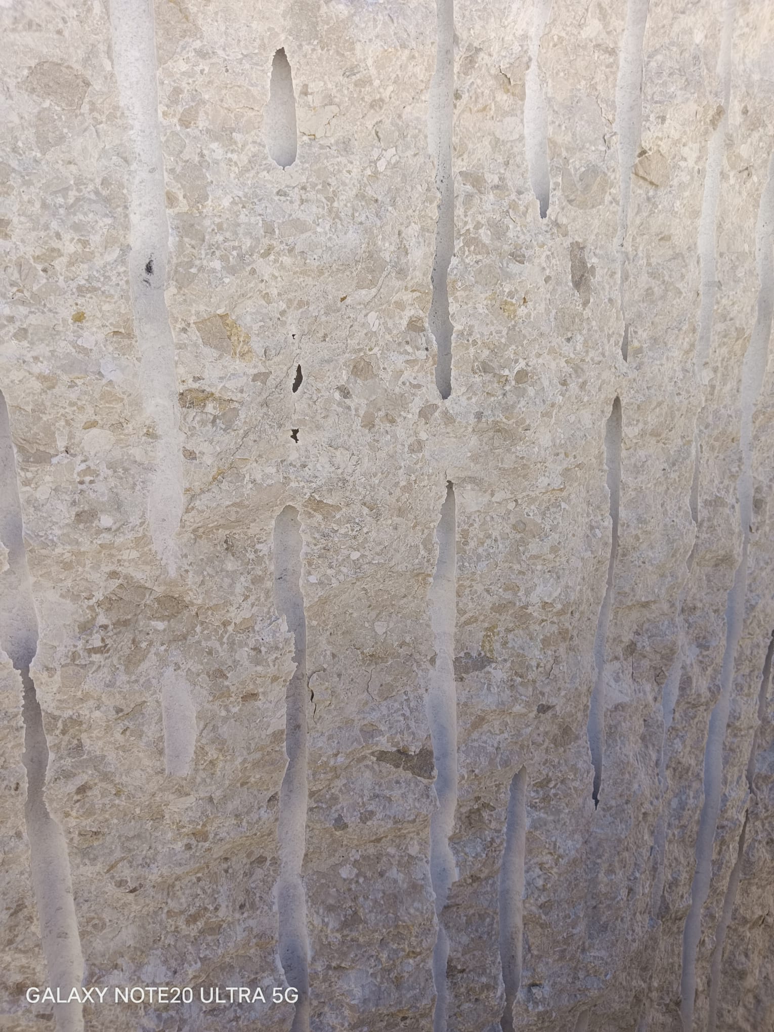 Faccia
            tagliata a fioretto di Perlato del Sole