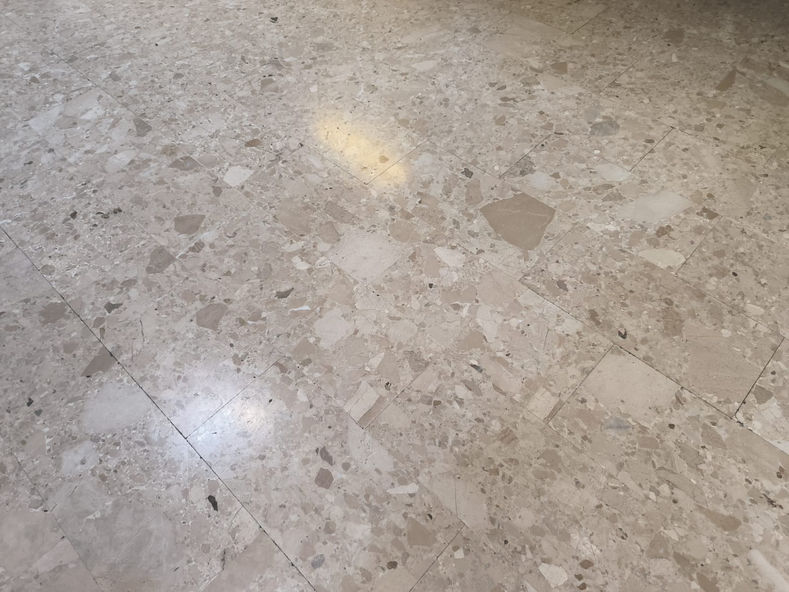 "Perlato del Sole"
            - Liceo Scientifico A.Orsini (AP) Particolare del pavimento